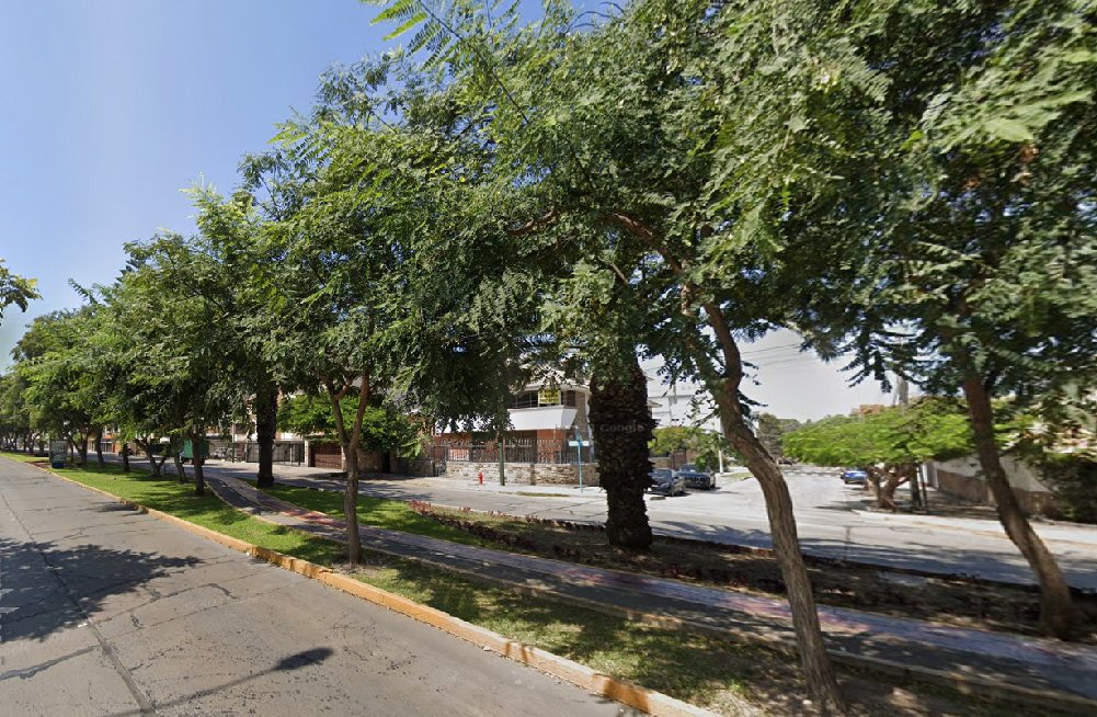 Avenida Principal San Borja Sur